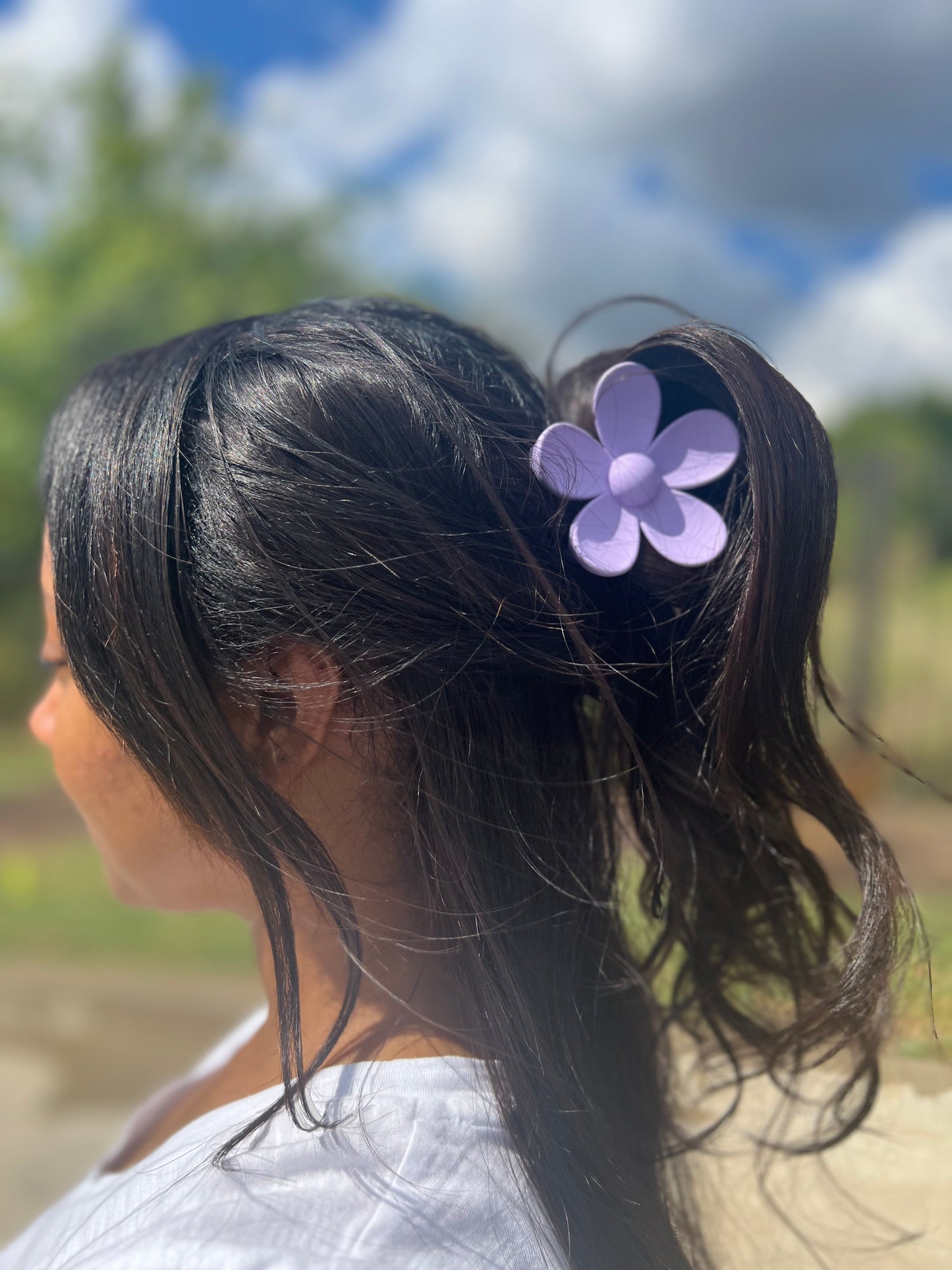 4 Piece Set Claw Clips